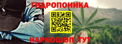 сатива Нарткала