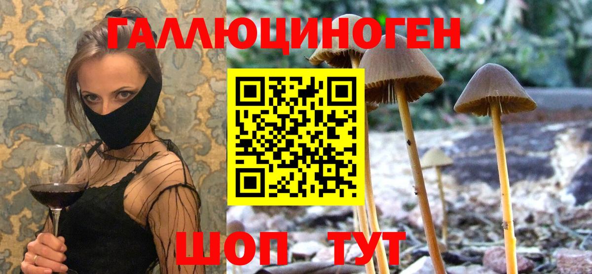 Бошки Шишки Урюпинск