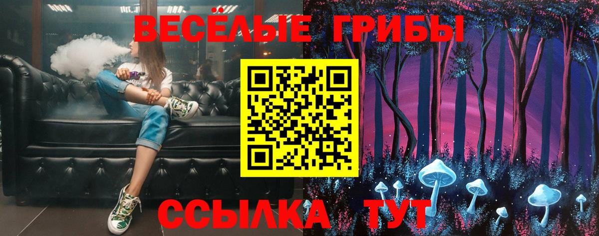 Галлюциногенные грибы Psilocybe Урюпинск